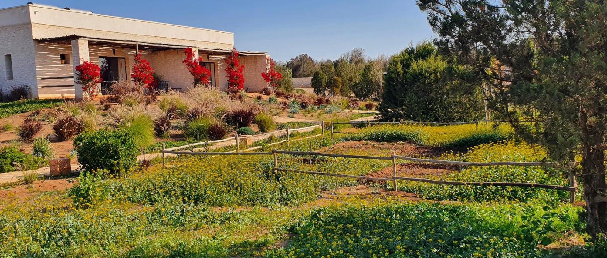 Le Clos De La Roussiere Essaouira Bagian luar foto