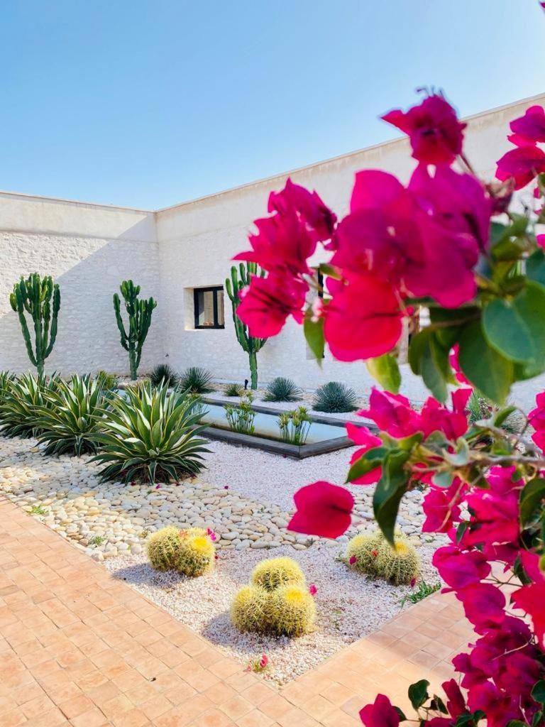 Le Clos De La Roussiere Essaouira Bagian luar foto