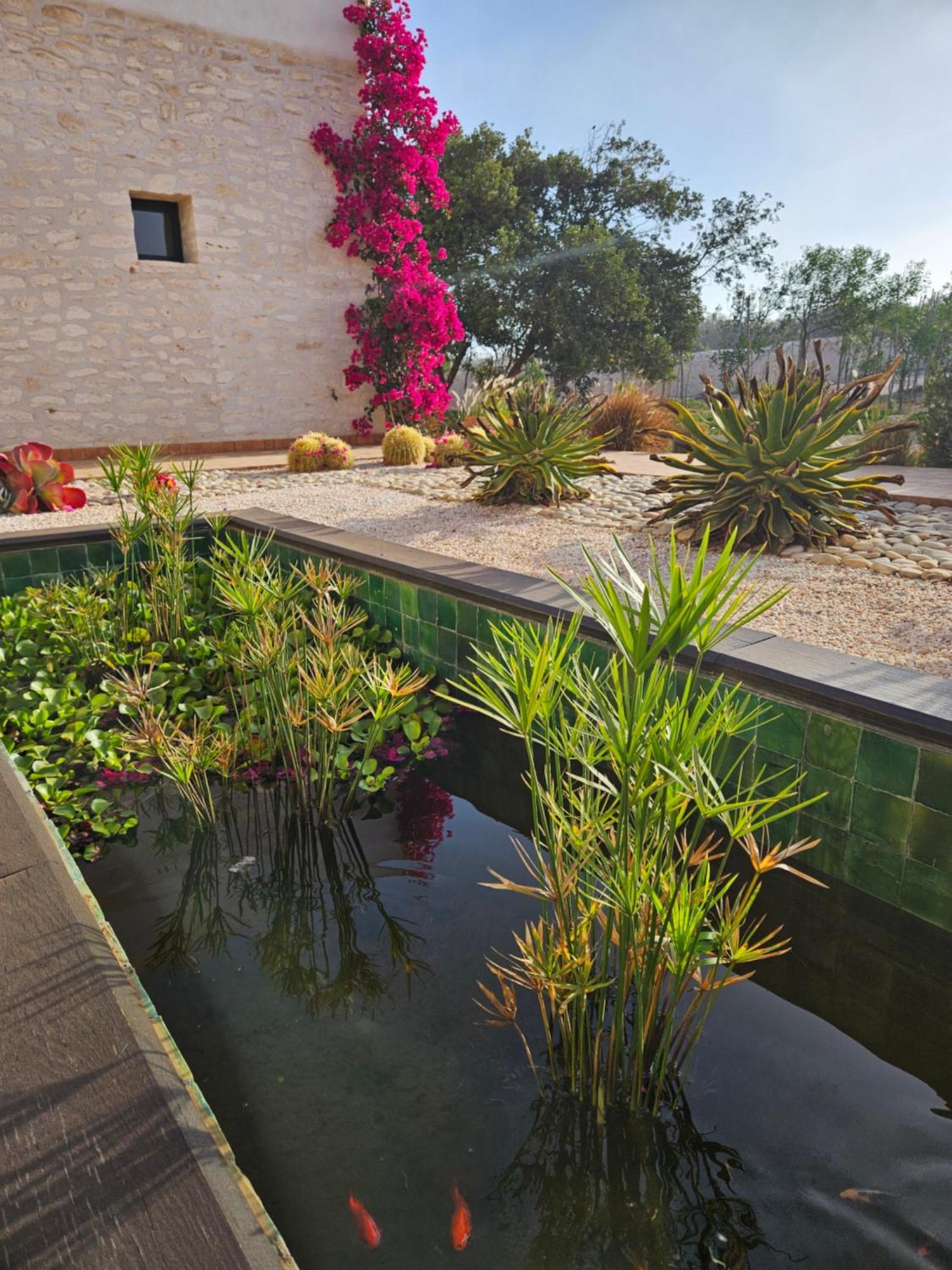 Le Clos De La Roussiere Essaouira Bagian luar foto
