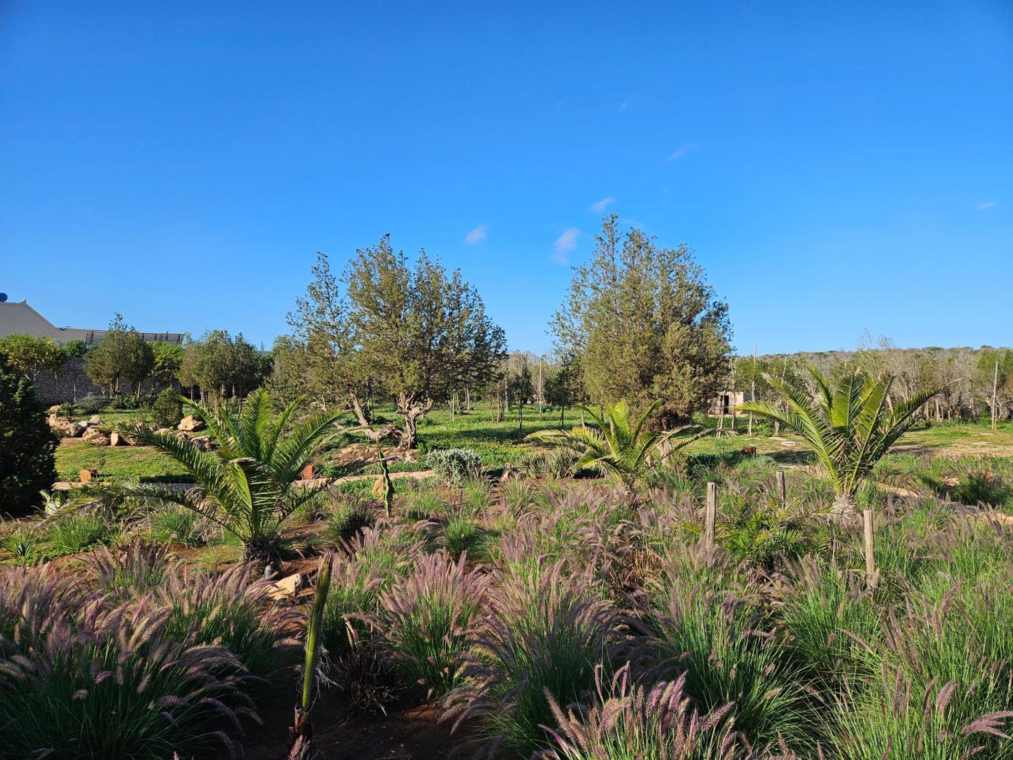 Le Clos De La Roussiere Essaouira Bagian luar foto